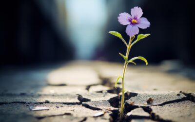 Resilience Takes Practice